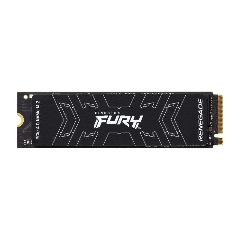 HARD DISK SSD 500 GB FURY RENEGADE M.2 NVME (SFYRS/500G)