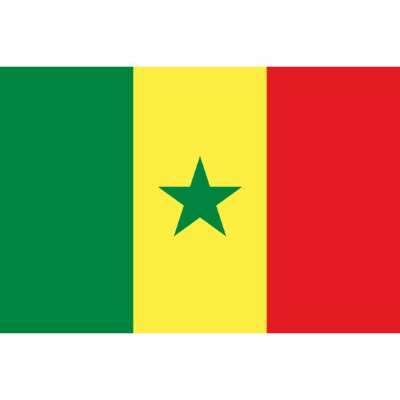 Bandiera di stato Senegal 300x200cm