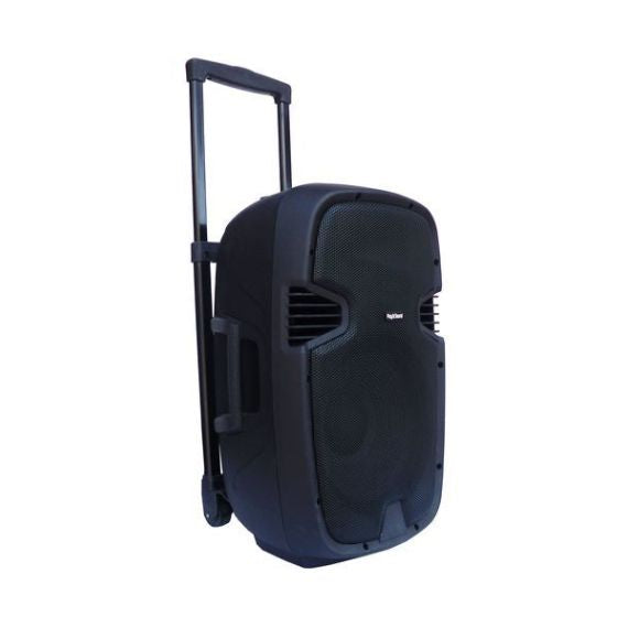 Cassa acustica amplificata con maniglia e ruote USB/SD/Bluetooth 350W 12"