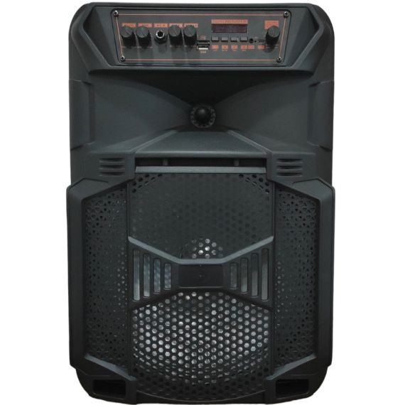 Cassa acustica ricaricabile trolley 12" 100W con luci LED Bluetooth/SD/USB/Radio FM