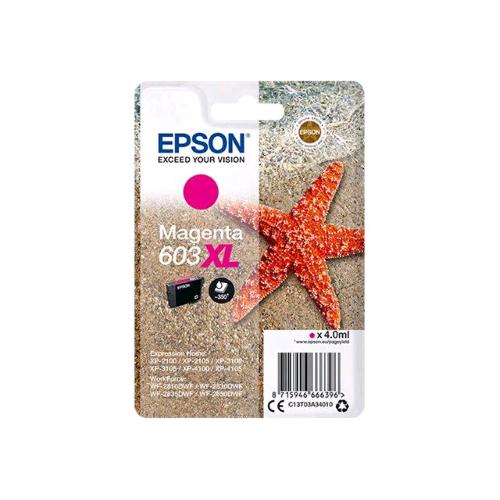 EPSON 603XL STELLA MARINA CARTUCCIA INCHIOSTRO MAGENTA BLISTER CON ALLARME PER E