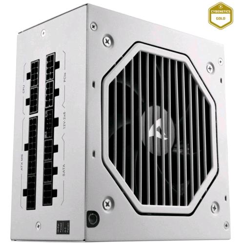 SHARKOON REBEL P20 ALIMENTATORE 750 W CYBENETICS GOLD FULLY-MODULAR ATX 3.1 BIAN