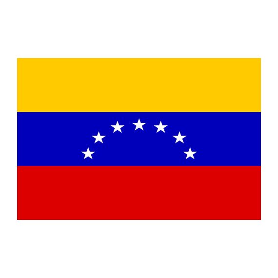 Bandiera nazionale Venezuela 7 stelle 200x300cm